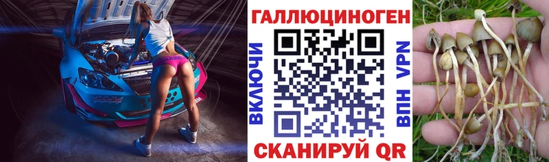 kraken как зайти  Россошь  Псилоцибиновые грибы MAGIC MUSHROOMS 